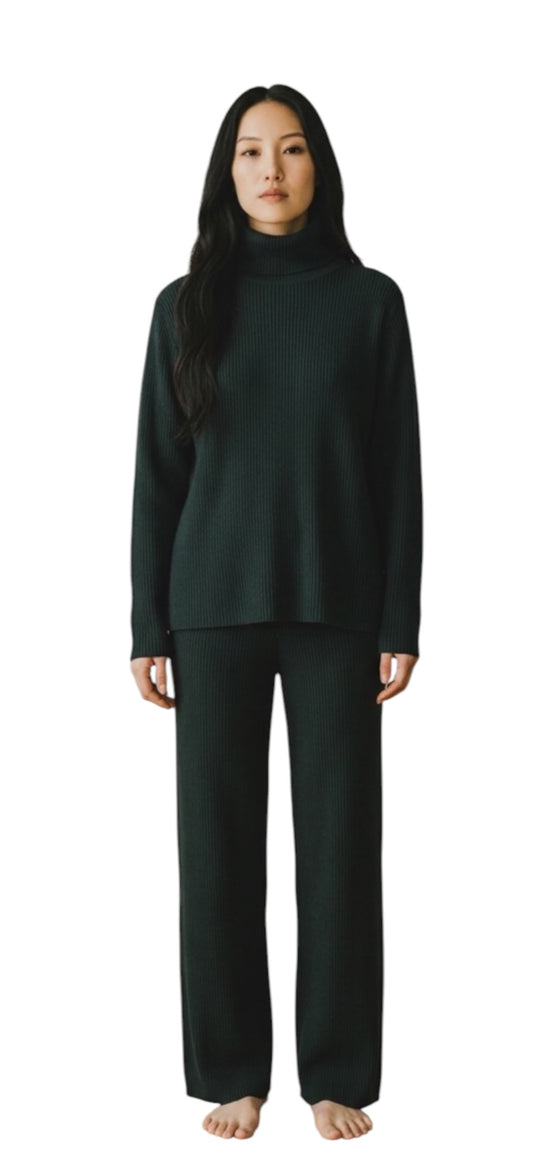Eileen Fisher emerald green wool knit turtle neck sweater large